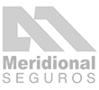 MERIDIONAL Seguros